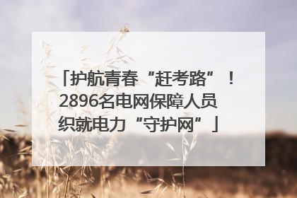 护航青春“赶考路”！2896名电网保障人员织就电力“守护网”