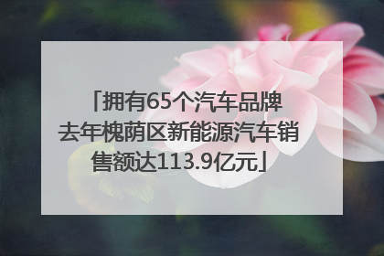 拥有65个汽车品牌 去年槐荫区新能源汽车销售额达113.9亿元