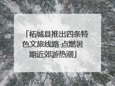 柘城县推出四条特色文旅线路 点燃暑期近郊游热潮