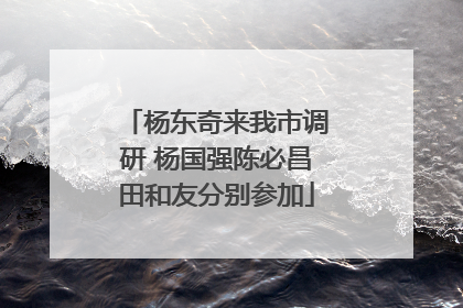 杨东奇来我市调研 杨国强陈必昌田和友分别参加