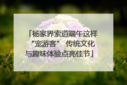 杨家界索道端午这样“宠游客” 传统文化与趣味体验点亮佳节