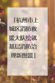 杭州市上城区消防救援大队绘就基层消防治理新图景