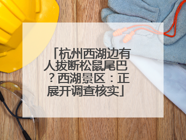 杭州西湖边有人拔断松鼠尾巴？西湖景区：正展开调查核实