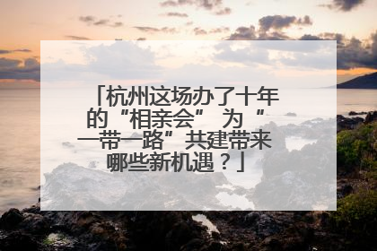 杭州这场办了十年的“相亲会” 为“一带一路”共建带来哪些新机遇？