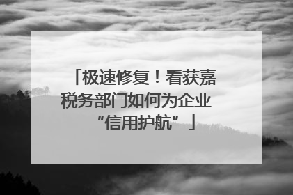 极速修复！看获嘉税务部门如何为企业“信用护航”