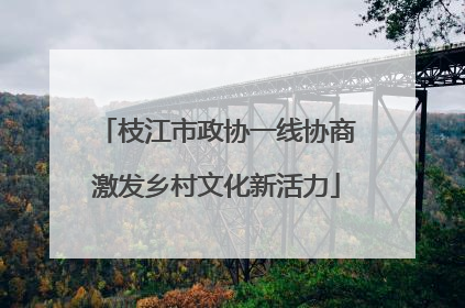 枝江市政协一线协商激发乡村文化新活力