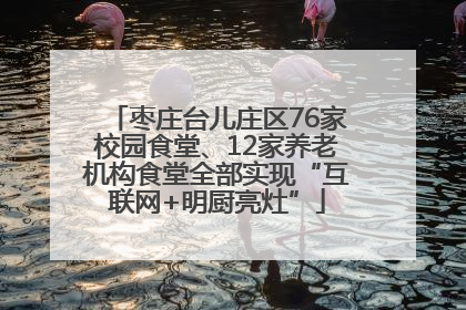 枣庄台儿庄区76家校园食堂、12家养老机构食堂全部实现“互联网+明厨亮灶”