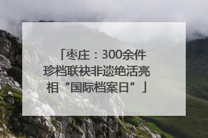 枣庄：300余件珍档联袂非遗绝活亮相“国际档案日”