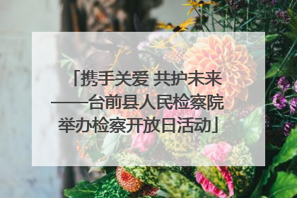 携手关爱 共护未来——台前县人民检察院举办检察开放日活动