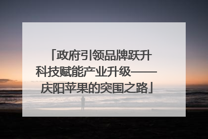 政府引领品牌跃升 科技赋能产业升级——庆阳苹果的突围之路