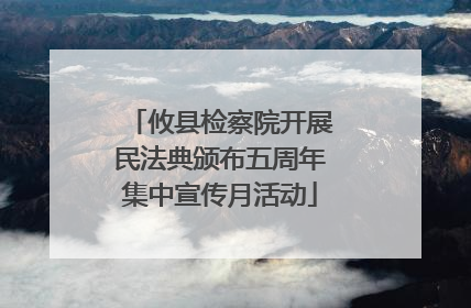 攸县检察院开展民法典颁布五周年集中宣传月活动