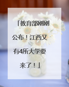 教育部刚刚公布！江西又有4所大学要来了！