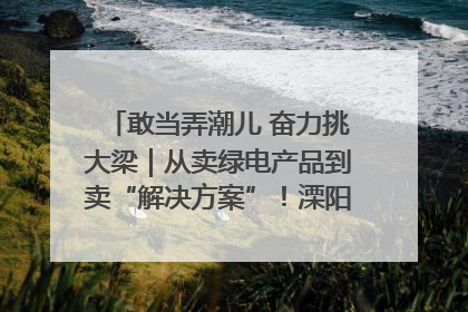 敢当弄潮儿 奋力挑大梁｜从卖绿电产品到卖“解决方案”！溧阳立足产业优势建成五大微电网示范项目