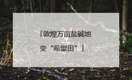 敦煌万亩盐碱地变“希望田”