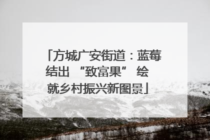 方城广安街道：蓝莓结出 “致富果” 绘就乡村振兴新图景