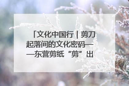 文化中国行｜剪刀起落间的文化密码——东营剪纸“剪”出非遗传承与现代生活的融合之道