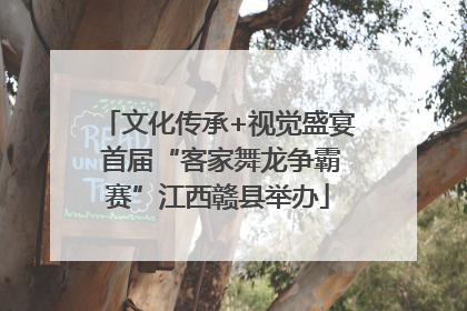 文化传承+视觉盛宴 首届“客家舞龙争霸赛”江西赣县举办