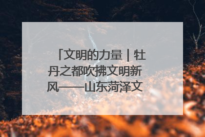 文明的力量｜牡丹之都吹拂文明新风——山东菏泽文明创建一线见闻