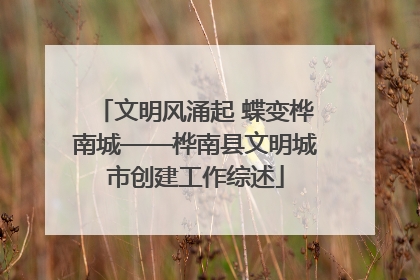 文明风涌起 蝶变桦南城——桦南县文明城市创建工作综述