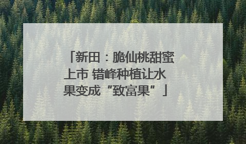 新田：脆仙桃甜蜜上市 错峰种植让水果变成“致富果”