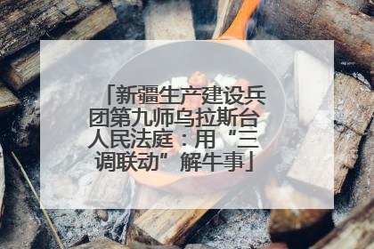 新疆生产建设兵团第九师乌拉斯台人民法庭：用“三调联动”解牛事