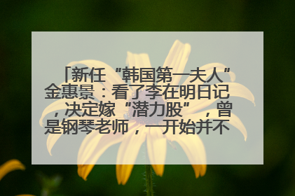 新任“韩国第一夫人”金惠景：看了李在明日记，决定嫁“潜力股”，曾是钢琴老师，一开始并不支持丈夫从政