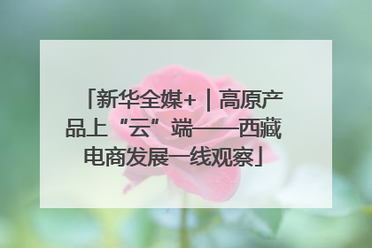 新华全媒+｜高原产品上“云”端——西藏电商发展一线观察