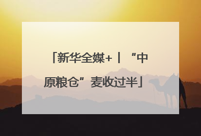 新华全媒+丨“中原粮仓”麦收过半