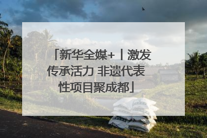 新华全媒+丨激发传承活力 非遗代表性项目聚成都