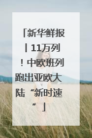 新华鲜报丨11万列！中欧班列跑出亚欧大陆“新时速”