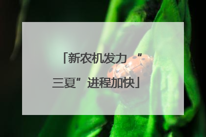 新农机发力 “三夏”进程加快