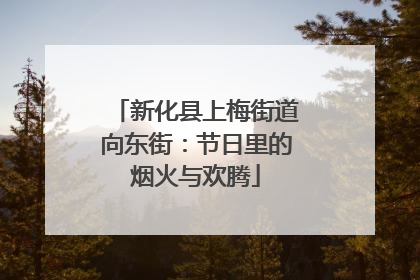 新化县上梅街道向东街：节日里的烟火与欢腾