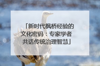 新时代枫桥经验的文化密码：专家学者共话传统治理智慧