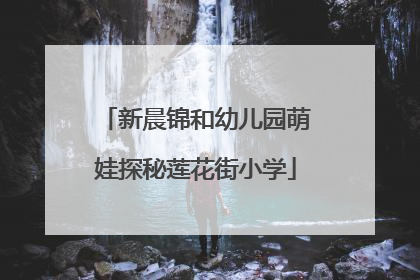 新晨锦和幼儿园萌娃探秘莲花街小学