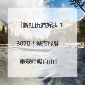 新虹街道拆违 1307㎡！城市绿肺重获呼吸自由