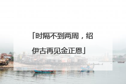时隔不到两周，绍伊古再见金正恩