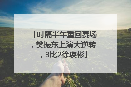 时隔半年重回赛场，樊振东上演大逆转，3比2徐瑛彬