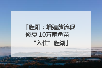 旌阳：增殖放流促修复 10万尾鱼苗“入住”旌湖