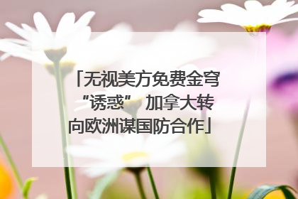 无视美方免费金穹“诱惑” 加拿大转向欧洲谋国防合作
