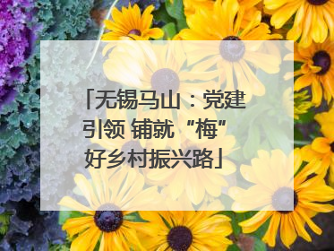 无锡马山：党建引领 铺就“梅”好乡村振兴路