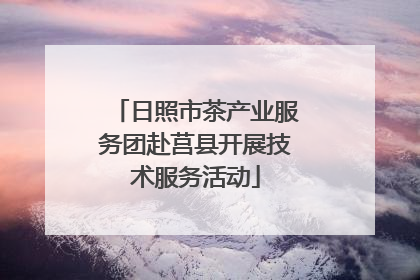 日照市茶产业服务团赴莒县开展技术服务活动