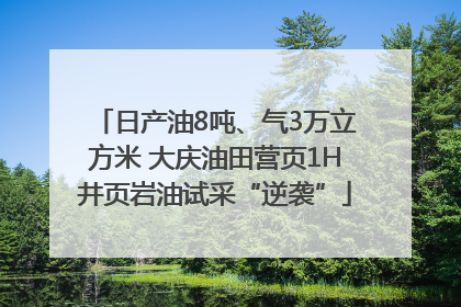 日产油8吨、气3万立方米 大庆油田营页1H井页岩油试采“逆袭”
