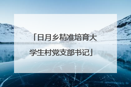 日月乡精准培育大学生村党支部书记