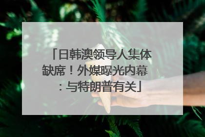 日韩澳领导人集体缺席！外媒曝光内幕：与特朗普有关