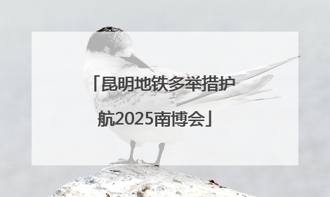 昆明地铁多举措护航2025南博会