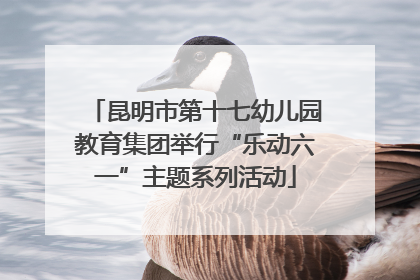 昆明市第十七幼儿园教育集团举行“乐动六一”主题系列活动