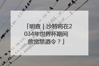 明查｜沙特将在2034年世界杯期间放宽禁酒令？