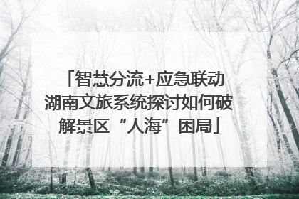 智慧分流+应急联动 湖南文旅系统探讨如何破解景区“人海”困局