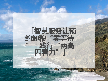 智慧服务让预约卸粮“零等待”丨践行“两高四着力”