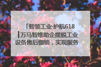 智领工业·护航618┃万马智维助企摆脱工业设备售后枷锁，实现服务与效能价值共振！